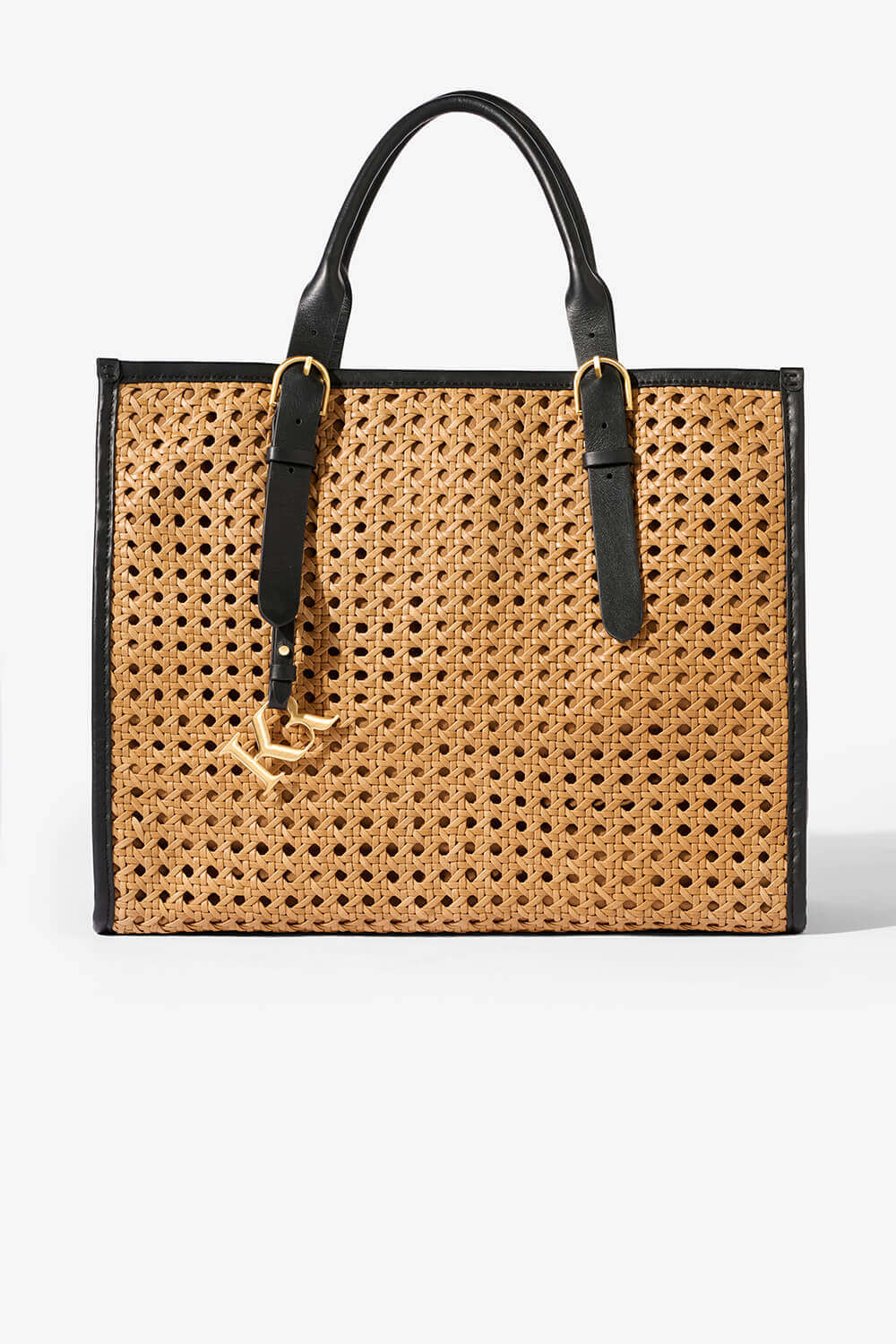 TOTE BAG- BISCOTTI