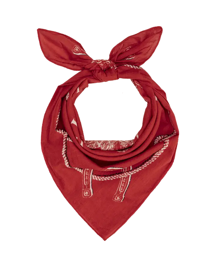 THE STETSON WESTERN BANDANA