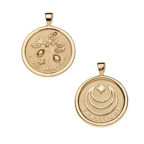 GRATITUDE JW ORIGINAL PENDANT COIN ON 18" DRAWN LINK CHAIN