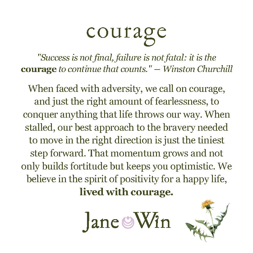 COURAGE CUTOUT HORSE COIN ON 16-18" CLASSIC ROLO CHAIN