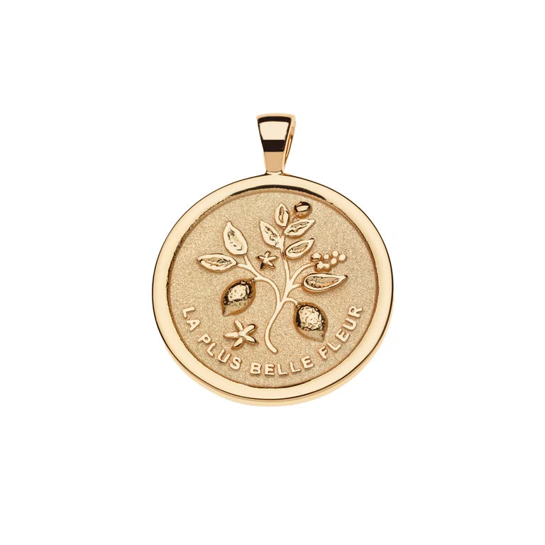 GRATITUDE JW ORIGINAL PENDANT COIN ON 18" DRAWN LINK CHAIN