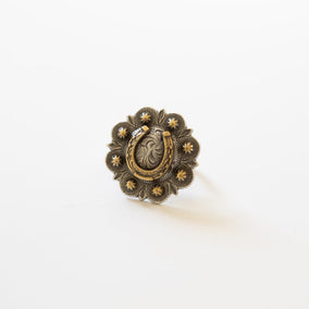 Concho Scarf Slide - Golden Horseshoe
