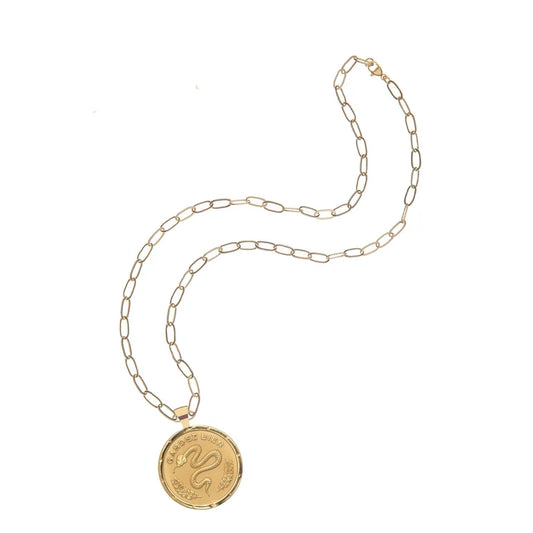 PROTECT JW ORIGINAL PENDANT COIN ON 18" DRAWN LINK CHAIN