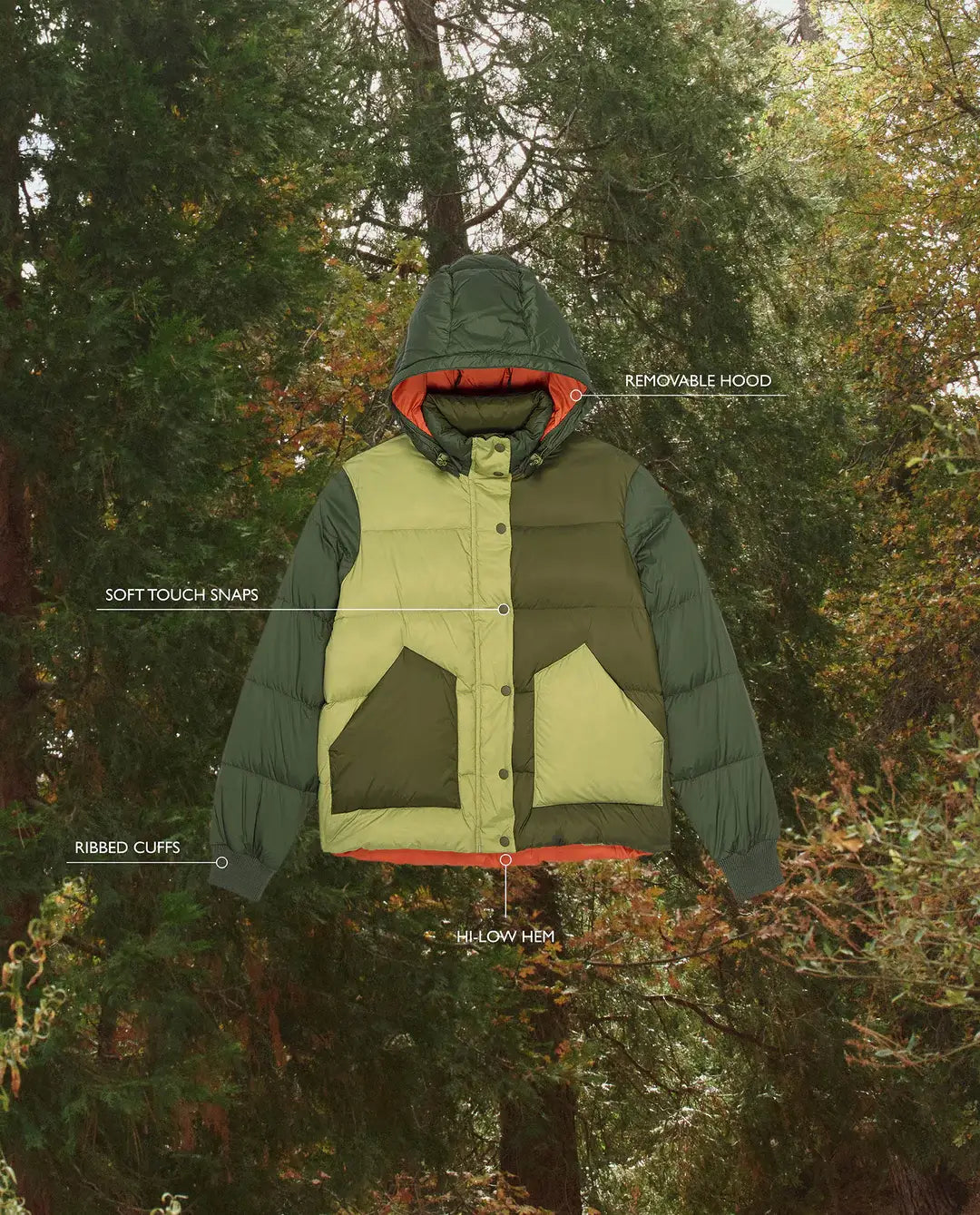THE POLAR PUFFER