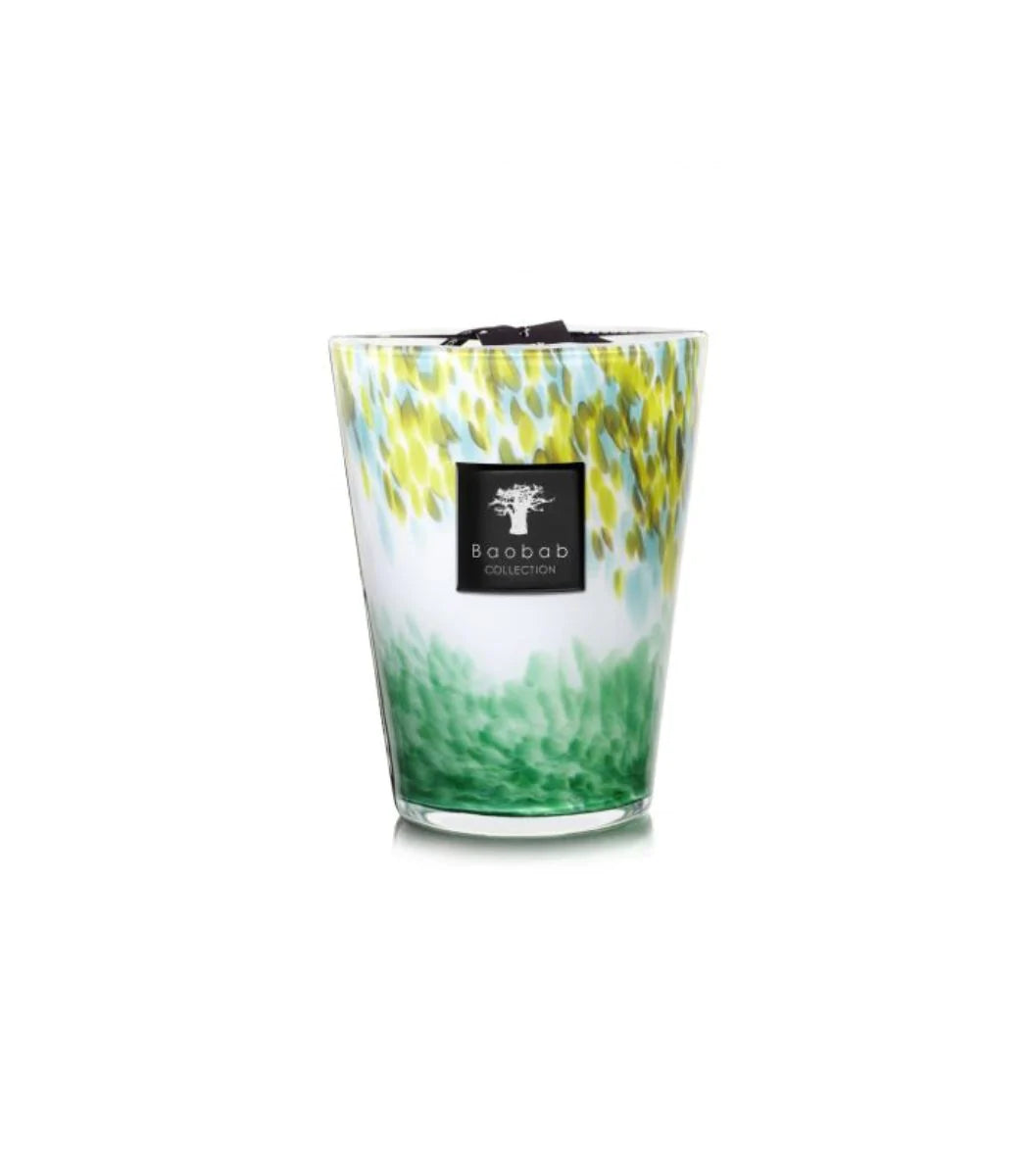 Baobab Collection